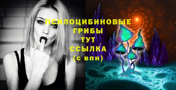 спиды Алзамай